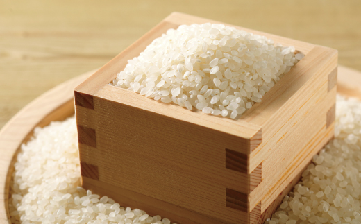 【令和7年産 数量限定】 四万十 の 米どころ 山間地域で育てた 大宮米 ヒノヒカリ 10kg 高知県 高知 しまんと 国産 お米 米 白米 精米 ひのひかり 低農薬栽培 ご飯 産地直送