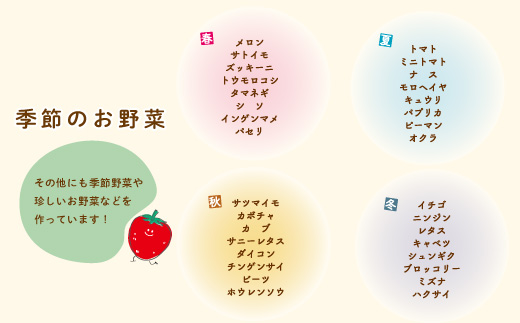 【早期受付】 春・夏 野菜セット 約5種類 とれたて 新鮮 ぱっくん畑のおくりもの 農家直送 国産 野菜 やさい 予約 高知県 高知 四万十市 四万十 しまんと 野菜便 限定 産地直送 お取り寄せ 【2026年5月～8月の間に1回配送】