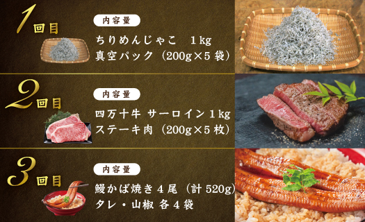 【12回定期便】四万十 の 贅沢 を詰め込んだ プレミアム 定期便 四万十市 高知 しまんと 鰹 かつお うなぎ 鰻 牛肉 和牛 小分け 四万十牛 じゃこ しらす 魚介 肉 鶏肉 鮎 天然鮎 加工品 豪華