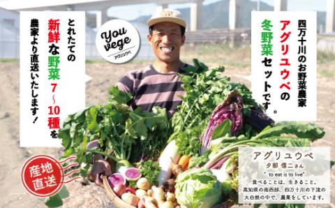【2回定期便・早期受付・数量限定】＼とれたて新鮮／農家直送！アグリユウベの冬野菜セット（小）【配送月：2024年1月・2月】