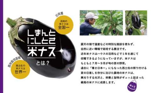 【期間限定】デカ！ピカ！ツル！しまんとにしとさ米ナス9玉（約2.7kg）【2023年10月下旬まで発送】R5-413