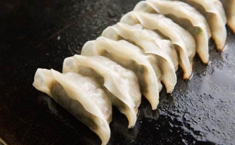 家(うち)に来る“高知” ジューシーな具をぎっしり詰めた手づくり!!　一本釣りカツオ餃子（8ケ入×8パック）・たれ付き　にんにく不使用！R5-1023