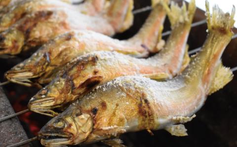 レンジでチンするだけ！四万十川の天然鮎塩焼き４～６匹 R5-839