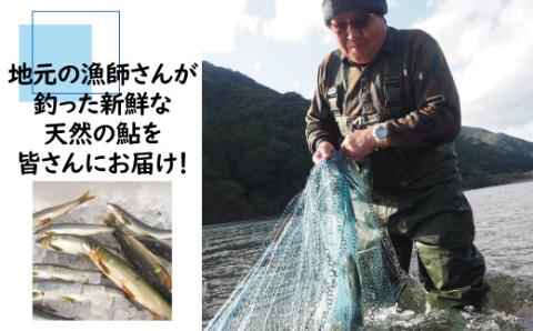 炭火でじっくり焼いた四万十川天然鮎の塩焼き(3～4匹) R5-838