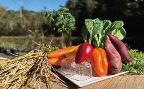 【ギフトにもおすすめ・数量限定】特別栽培野菜と米粉を使用！グルテンフリーオリジナルケーキセット(お試しサイズ) R5-344G