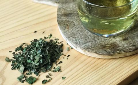 【数量限定】すっきり爽やか！四万十茶葉セット(イタドリ茶・桑茶）R5-814