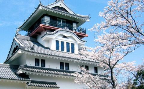 四万十市おもてなしタクシー(２)「小京都中村を散策コース」2時間 R5-957