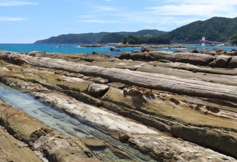 おもてなしタクシー(5)「国立公園足摺・竜串周遊コース」6時間 R5-960