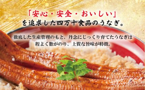 【6回定期便】6ヵ月連続＜四万十食品＞うなぎ蒲焼きざみ10袋(合計450ｇ)／Ｋ10．R6-1038