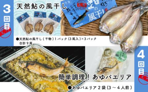 【4回定期便】鮎づくし！清流四万十川で育った天然鮎の定期便 R6-851