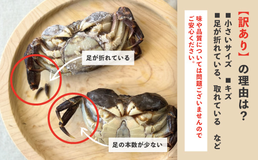 【 訳あり 数量限定 】 天然 ツガニ 約 1kg （8～12匹） 訳アリ 訳あり品 濃厚 うまみ 魚介 蟹 かに カニ つがに モクズガニ もくずがに 人気 お取り寄せ だし 味噌汁 四万十川 グルメ 高知県 高知 四万十市 四万十 しまんと
