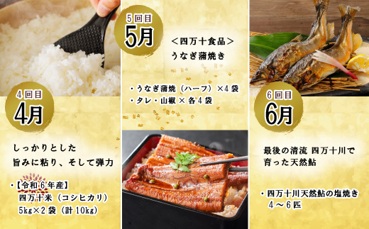 【年末限定】【12回定期便】四万十の人気グルメお楽しみ定期便 しまんとふるさと定期便20万円コース 24-616