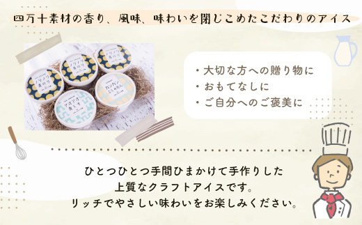 家に来る 高知 四万十の ナチュラル ＆ クラフトアイス 食べ比べセット 90ml×5カップ 3種 冷凍 国産 アイス アイスミルク ソルベ ジェラート シャーベット 氷菓 スイーツ デザート ぶしゅかん 青のり 青しそ 夏 贈り物 四万十市 しまんと