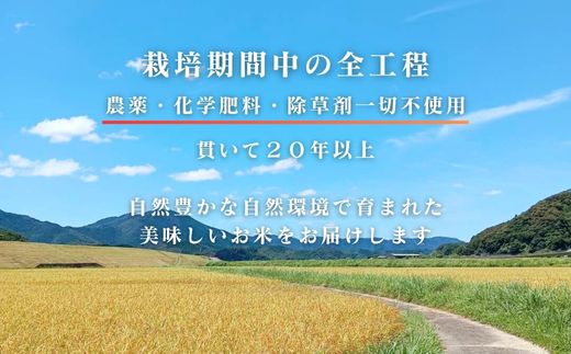 【令和7年産】四万十市産 コシヒカリ 玄米 9kg 栽培期間中農薬・ 化学肥料・除草剤不使用 国産 こしひかり 2025年産 米 おこめ こめ コメ ご飯 高知 四万十 しまんと 農家直送 蕨岡の百姓 福留壯 オーガニック 9kg×1袋