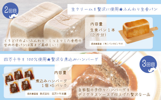 【5回定期便】男性一人暮らしさんのための 定期便 四万十市 四万十 高知 高知県 しまんと 鰹 かつお かつおのたたき 月替わり 牛肉 ハンバーグ 煮込み 四万十牛 ピザ ピッツァ ガトーショコラ 冷凍 食パン パン