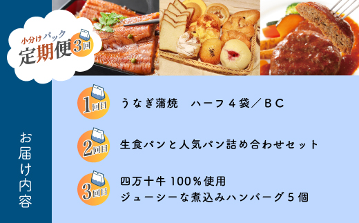 【 3回 お届け 】 便利 でうれしい！ 小分け 定期便 毎月届く 小分けパック ストック 保存食 冷凍 冷凍食品 惣菜 おかず パン 冷凍パン 生食パン うなぎ ウナギ 鰻 ハンバーグ お弁当 弁当 ごちそう 高知 四万十市 四万十 しまんと 3回配送