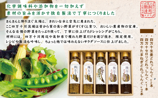 四万十どれっしんぐ 5本 入り セット おいしい 食卓 調味料 ドレッシング ソース サラダ 野菜 やさい まとめ買い グルメ お取り寄せ 母の日 父の日 敬老の日 贈り物 プレゼント ギフト 高知 高知県 四万十 四万十市 しまんと