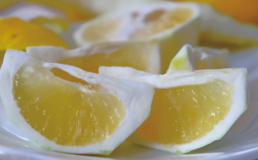 小夏 約 5kg 18～30個 高知県産 四万十市産 贈答用 ギフト 【 早期受付 数量限定 】先行 予約 ハウス栽培 こなつ コナツ 柑橘 フルーツ 果物 高知県 高知 四万十市 四万十 しまんと お取り寄せ 【 2026年5月下旬～6月下旬発送】