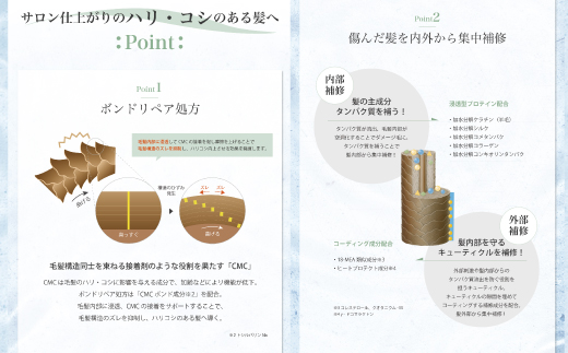 サロン・ド・オーデ ボンドリペア シャンプー ＆ トリートメント 各 500ml 2本 セット ダメージ補修 ノンシリコン 無着色 ボトル 液体 洗剤 アロインス製薬 美容 美容品 化粧品 日用品 消耗品 高知 高知県 四万十 四万十市 しまんと 1回配送（合計2本）