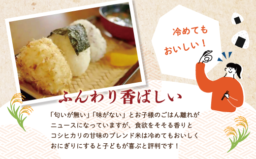 米 10kg 【 令和7年産 】コシヒカリ 香り米 ヒエリ 入り 四万十のかおり 5kg ×2袋 国産 こしひかり ブレンド 精米 白米 ごはん おいしい もちもち 高知県 四万十市 四万十 しまんと