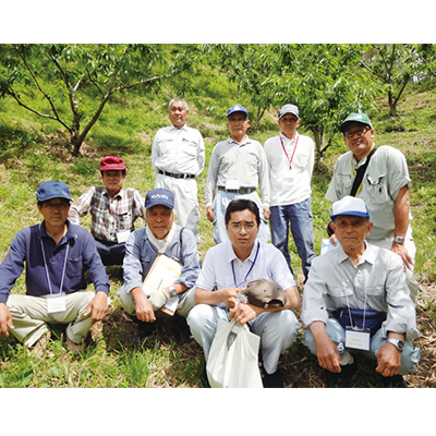 【 期間限定 数量限定 】 新栗 贅沢 四万十栗 3Lサイズ 約1kg 生栗 栗 くり クリ マロン 秋 フルーツ 果物 おやつ 焼き栗 栗ご飯 栗きんとん 甘露煮 高知 高知県 四万十 四万十市 しまんと 【2025年10月上旬～発送】