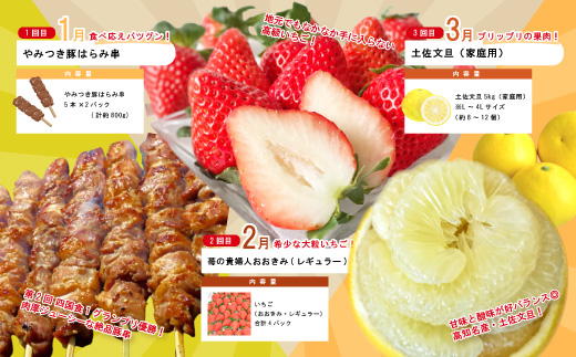 【年末限定】 12回 定期便 四万十 人気 グルメ お楽しみ定期便 しまんと ふるさと 20万円 今だけ 年末 限定 肉 いちご 文旦 うなぎ 牛肉 パン まぐろ マグロ かつお フルーツ 人気グルメ ごちそう 贅沢 豪華 高知 四万十市