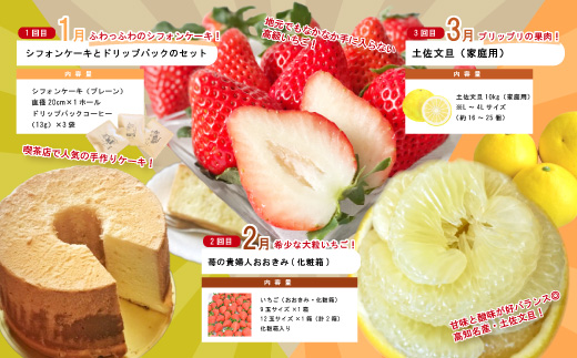 【年末限定】 12回 定期便 四万十 人気 グルメ お楽しみ定期便 しまんと ふるさと 30万円 今だけ 年末 限定 肉 いちご 文旦 うなぎ 牛肉 パン まぐろ マグロ かつお フルーツ 人気グルメ ごちそう 贅沢 豪華 高知 四万十市