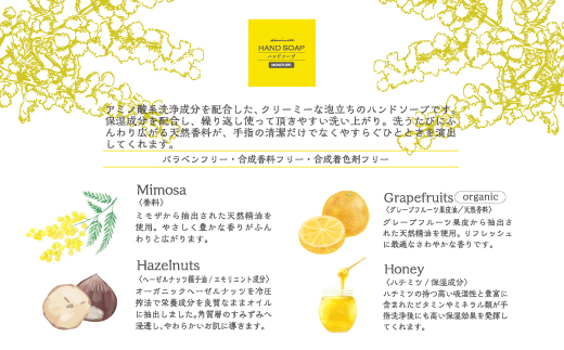 【 ミアミモザ 】【 ギフト箱入 】 ミアミモザ ハンドソープ 50ml 1本 化粧箱 ギフト箱 天然香料 が ふんわり 広がる クリーミー 泡 手洗い 液体 ギフト プレゼント 贈答 美容 コスメ スキンケア 高知県 高知 四万十市 四万十 しまんと