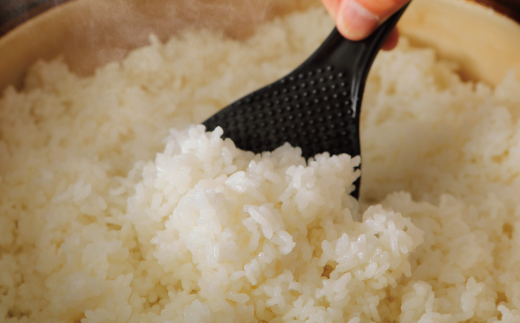 【令和7年産 数量限定】 四万十 の 米どころ 山間地域で育てた 大宮米 ヒノヒカリ 10kg 高知県 高知 しまんと 国産 お米 米 白米 精米 ひのひかり 低農薬栽培 ご飯 産地直送