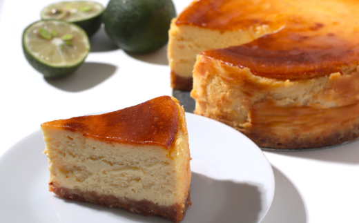 土佐フロマージュ ホールケーキ 16cm 国産 冷凍 NYチーズ チーズケーキ ケーキ 洋菓子 菓子 デザート ミレービスケット ミレー ぶしゅかん 米粉 おもてなし 高知 南国 四万十 しまんと お取り寄せ