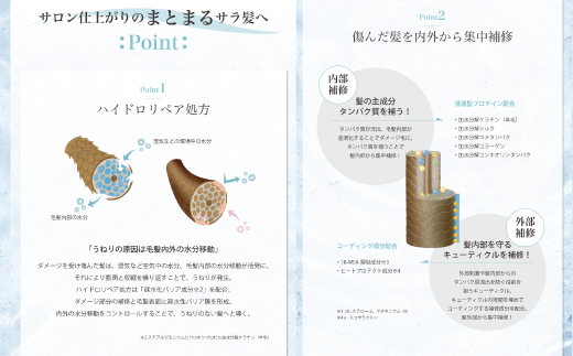 12回 定期便 サロン・ド・オーデ ハイドロリペア シャンプー ＆ トリートメント 各 500ml 2本 セット 合計 24本 ダメージ補修 ボトル 液体 アロインス製薬 美容 美容品 化粧品 日用品 消耗品 高知 高知県 四万十 四万十市 しまんと 12回配送（合計24本）