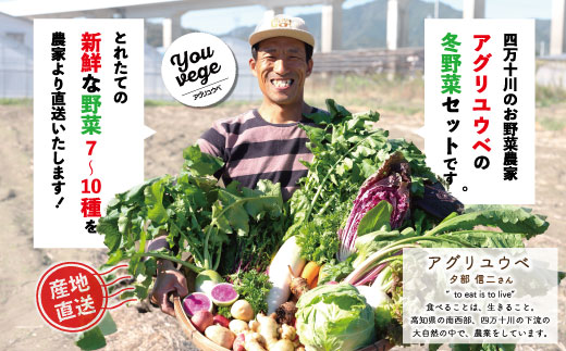 【 2回定期便 早期受付 数量限定 】アグリユウベの冬野菜セット (小) とれたて 新鮮 農家直送 国産 野菜 野菜便 やさい 野菜 冬野菜 産地直送 国産 旬 高知県 四万十市 四万十 しまんと 定期便 【配送月：2027年1月・2月】