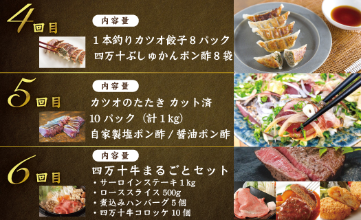 【12回定期便】四万十 の 贅沢 を詰め込んだ プレミアム 定期便 四万十市 高知 しまんと 鰹 かつお うなぎ 鰻 牛肉 和牛 小分け 四万十牛 じゃこ しらす 魚介 肉 鶏肉 鮎 天然鮎 加工品 豪華