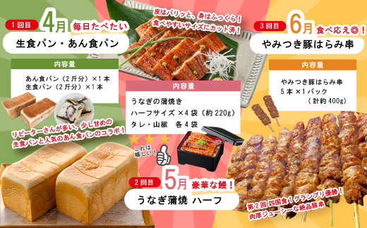 【 年末限定 】 8回 定期便 四万十 人気グルメ お楽しみ定期便 しまんと ふるさと定期便 10万円 Aコース 今だけ 鰻 牛肉 鶏肉 豚肉 パン 魚 タタキ 鰹 カツオ みかん 柑橘 フルーツ ケーキ 贅沢 豪華 高知 四万十市 R7