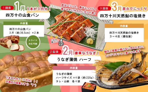 【 年末限定 】 8回 定期便 四万十 人気グルメ お楽しみ定期便 しまんと ふるさと定期便 10万円 Bコース 今だけ 鰻 牛肉 豚肉 パン 魚 タタキ カツオ 鰹 うどん 麺 鮎 天然鮎 ケーキ ごちそう 贅沢 豪華 高知 四万十市