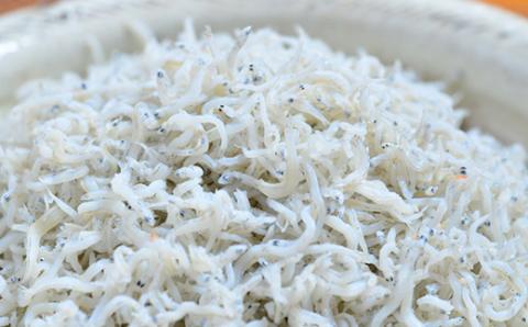 【定期便】老舗海産物店の土佐黒潮ふんわりしらす650g【2カ月に1回／全6回】（合計3.9kg）R6-636