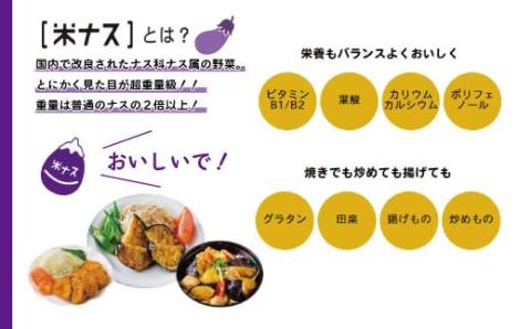 【期間限定】デカ！ピカ！ツル！しまんとにしとさ米ナス9玉（約2.7kg）【2023年10月下旬まで発送】R5-413