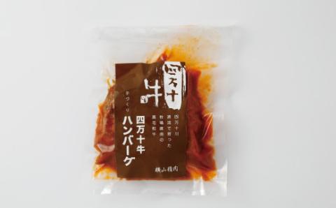 幻のメス牛 四万十牛100％使用ジューシーな煮込みハンバーグ5個 R5-400