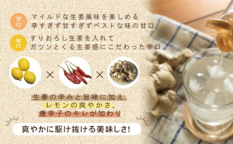 無添加しょうがシロップ　計2本入り R5-202