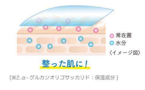 MOC フルリール ボディジェル ジョーヌ 300ml R5-268