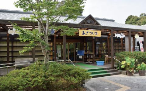 4種から選べるビーズトンボ R5-484