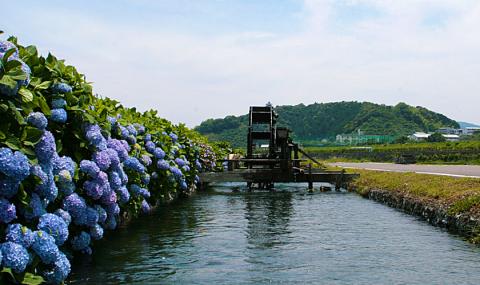 四万十市おもてなしタクシー(１)「四万十川満喫コース」2時間 R5-956