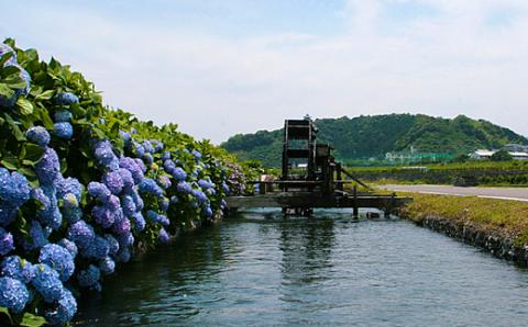 四万十市おもてなしタクシー(３)「沈下橋観光コース」1.5時間 R5-958