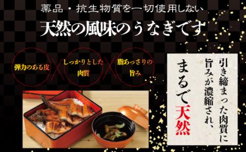 四万十川優化イオンうなぎ　蒲焼2尾入り(ボイル肝、たれ付き) R5-006