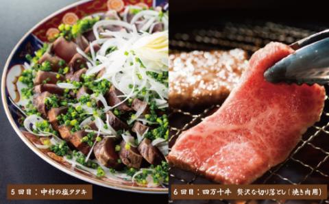 【7ヵ月連続】四万十市人気魚介＆お肉返礼品【定期便】R6-068