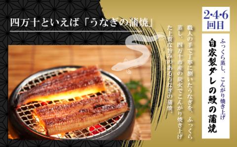 6回 定期便 うなぎ の 蒲焼 と 鰹のタタキ 月替わり 定期便 冷凍 魚 魚介 かつお カツオ 鰹 藁焼き たたき タタキ ウナギ 鰻 鰻の蒲焼 ご当地 グルメ ごちそう 総菜 おかず 四国 高知 四万十 しまんと 新鮮