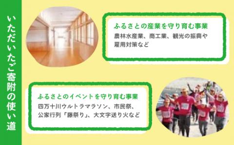 高知県四万十市への寄附 返礼品なし（寄附のみの受付となります）（1,000円単位でご寄附いただけます）