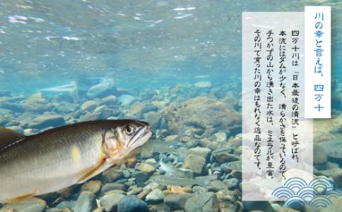【4回定期便】鮎づくし！清流四万十川で育った天然鮎の定期便 R6-851