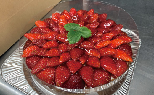 数量限定 期間限定 イチゴ たっぷり！イチゴの レアチーズ タルト 冷凍 フルーツ 果物 いちご 苺 チーズケーキ ケーキ 焼菓子 洋菓子 菓子 デザート スイーツ 高知 四万十 しまんと 限定【2026年1月中旬～4月下旬配送】