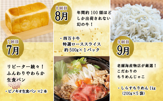 【年末限定】【12回定期便】四万十の人気グルメお楽しみ定期便 しまんとふるさと定期便20万円コース 24-616